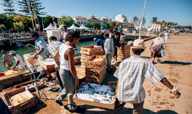 Portimão em contagem decrescente para a recriação da descarga da sardinha