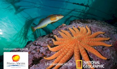 Póvoa de Varzim inaugura exposição com fotografias da National Geographic