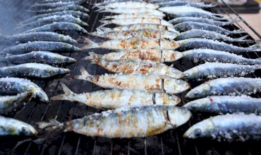 Festival da Sardinha desafia a inflação e oferece propostas para todos os gostos