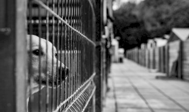 Exposição "Não quero morrer aqui" em exibição na EMARP até 16 de Agosto