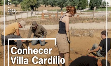Conhecer Villa Cardílio - visita guiada ao monumento e às escavações em curso