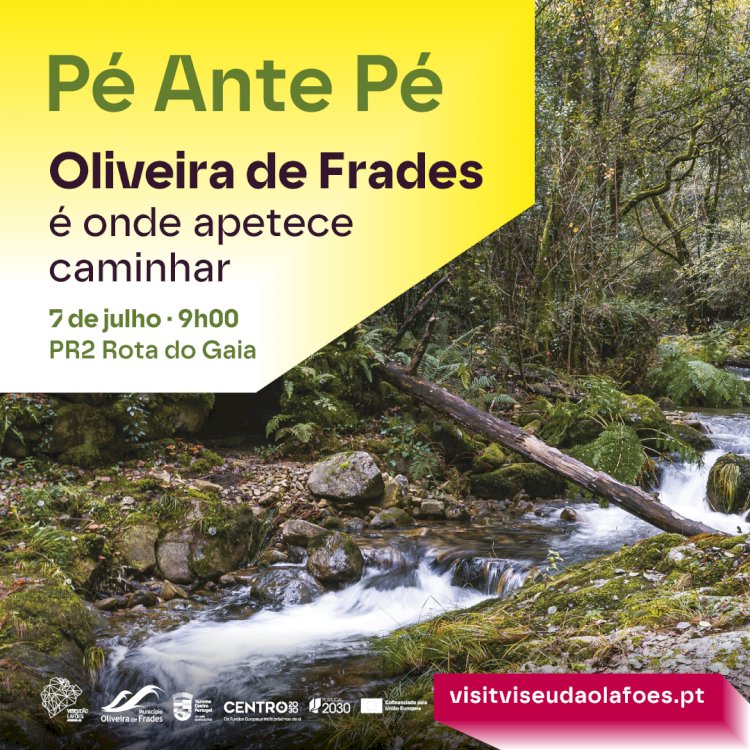 Pé Ante Pé | Oliveira de Frades é onde apetece caminhar | PR2 - Rota do Gaia