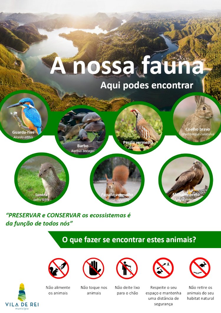 Vila de Rei divulga campanha de sensibilização sobre a preservação da fauna existente