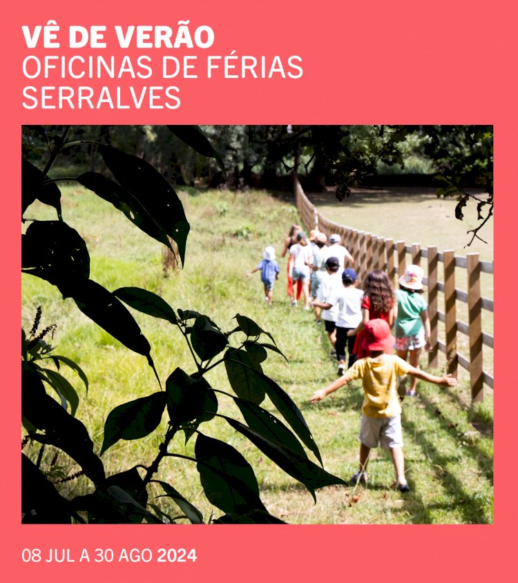 Férias de Verão em Serralves | Inscrições Abertas