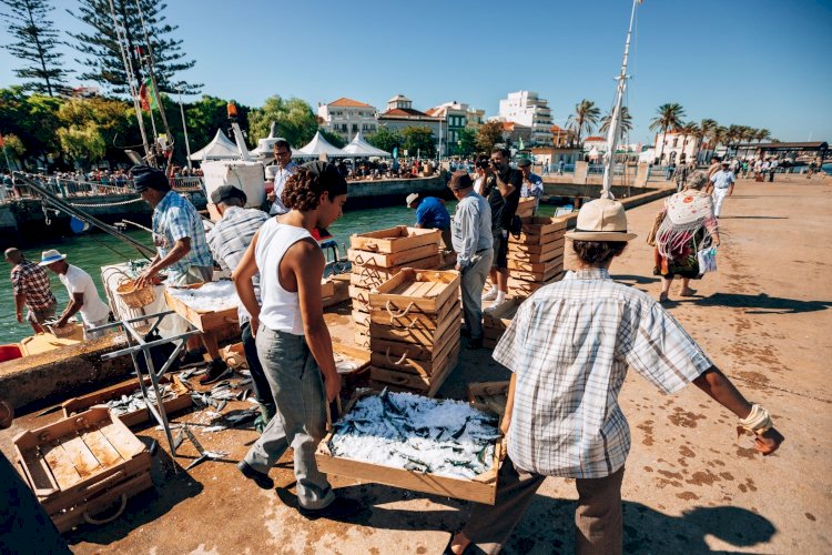 Portimão em contagem decrescente para a recriação da descarga da sardinha