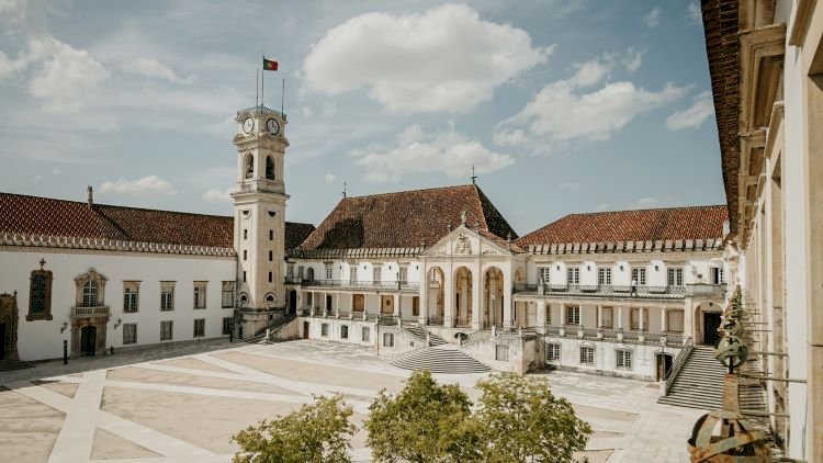 Estudo liderado pela Universidade de Coimbra descobre mecanismos de alteração da perceção visual originados por psicadélicos