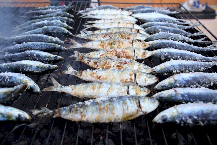 Festival da Sardinha desafia a inflação e oferece propostas para todos os gostos