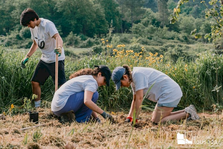 Lousada no pódio europeu de árvores plantadas em Portugal