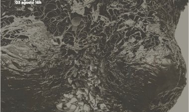 Histórias da Lava Escultura em Papel na Galeria António Lopes