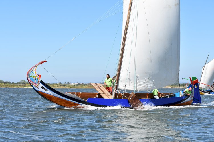 Marco Silva Foi o Grande Vencedor da Regata de Barcos Moliceiros da Festa do Emigrante