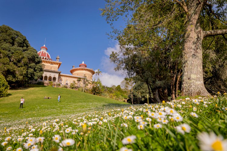 Monumentos de Sintra Com Entradas Gratuitas Para Jovens no Dia Internacional da Juventude