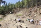 Campo Arqueológico de Proença-a-Nova dá continuidade às investigações no território