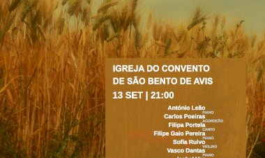 Avis Music Series - Paisagens Sonoras 2024: 3.ª Edição