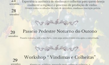 Iniciativa "Vem vindimar... nas Pombas" está de regresso