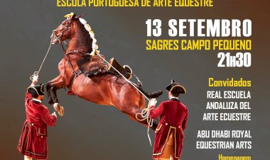 Presidente da República condecora Escola Portuguesa de Arte Equestre na gala dos 45 anos da instituição