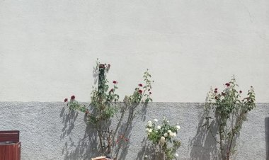 Idanha-a-Velha recebe oficina de som e teatro