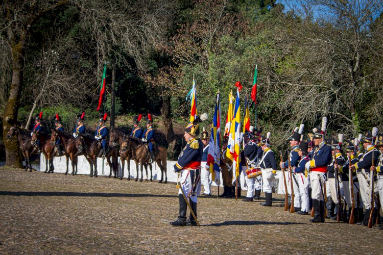 Canhões voltam a ecoar na serra em recriação histórica da Batalha do Bussaco