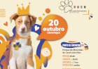 Canil promove encontro de cães adotados e cãominhada