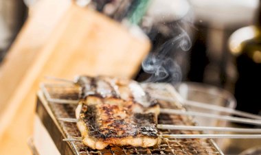 Festival “Heróis do Mar” apresenta gastronomia de peixe na Doca da Marinha, em Lisboa