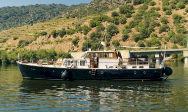 Nova rota da Pipadouro passa pela mais antiga companhia de vinhos portuguesa