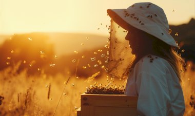 Município vai incentivar “Apicultura no Feminino” com sessão de formação