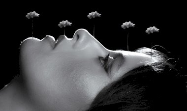 Anda Pacheco lança “Mal-Viver”