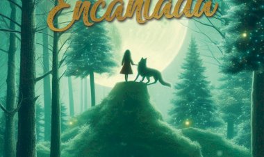 Arcos de Valdevez Celebra o Natal com a "Floresta Encantada Porta do Mezio"