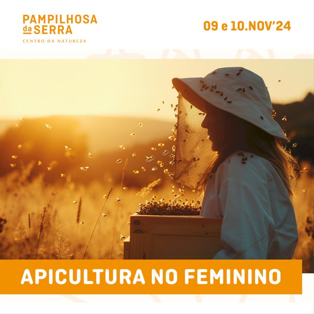 Município vai incentivar “Apicultura no Feminino” com sessão de formação