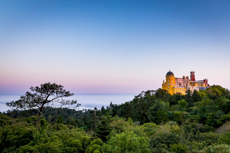 “Uma Aventura” em Sintra com exposição e visitas temáticas ao parque e Palácio da Pena