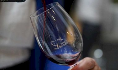 Trás-os-Montes em Prova dá a conhecer mais de 150 vinhos no Porto
