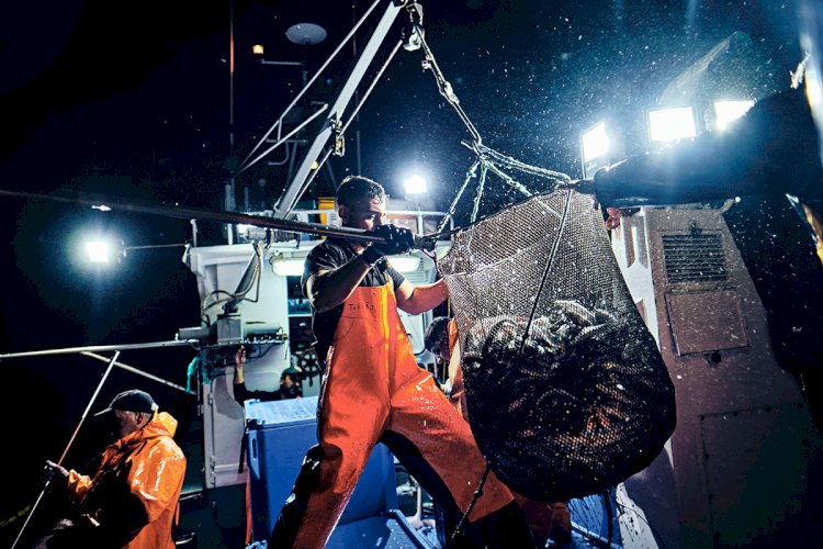 O sem fim da pesca do cerco de Helder Luís no Museu Marítimo de Ílhavo.