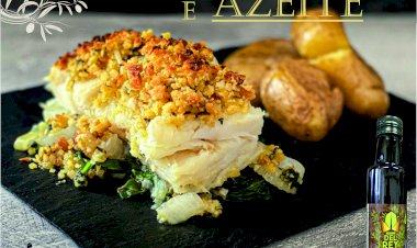 Bacalhau e Azeite de Vila de Rei estão de regresso aos menus Vilarregenses