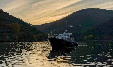 Pipadouro aquece noites do Douro com vinho e música