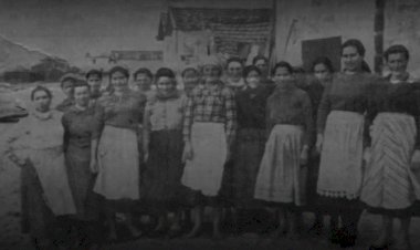 Memória das mulheres marítimas inspira intervenção em Vila do Conde