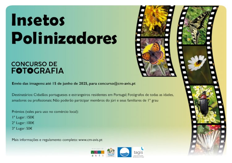 Município de Avis promove concurso de fotografia com o tema “Insectos Polinizadores