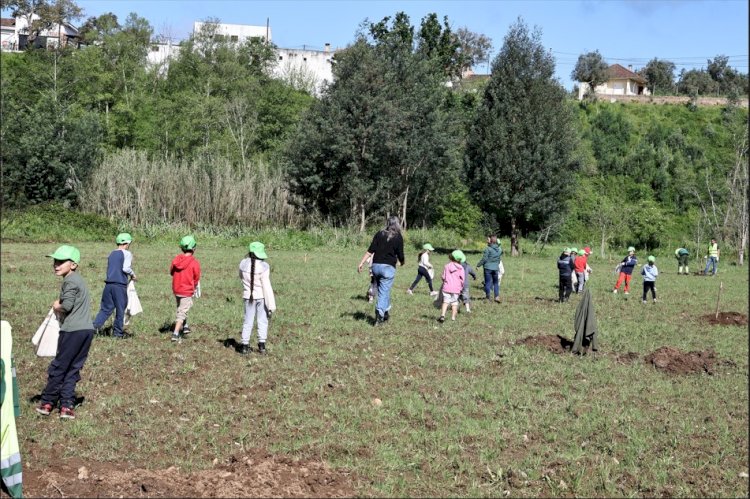 Alunos de Serpins semeiam campo de alimentação para abelhas