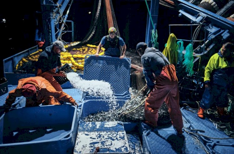 Exposição "Rumo à Pesca" em Avintes