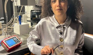 Financiamento promove estudo sobre interacção dos sistemas vascular e imunológico em recém-nascidos