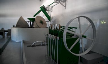 Proença-a-Nova reforça aposta na sustentabilidade com adesão à Bio-Região Lusitânia