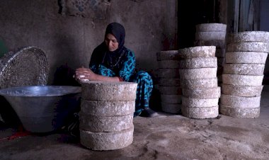 Irão e Egipto são os vencedores do Festival de Cinema do Pão