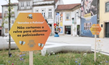 Município de Barcelos lança iniciativa “Barcelos Poliniza”