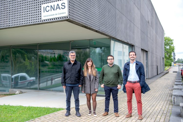 Investigadores de Coimbra mostram impacto de uma terapia génica no tratamento de doença da visão