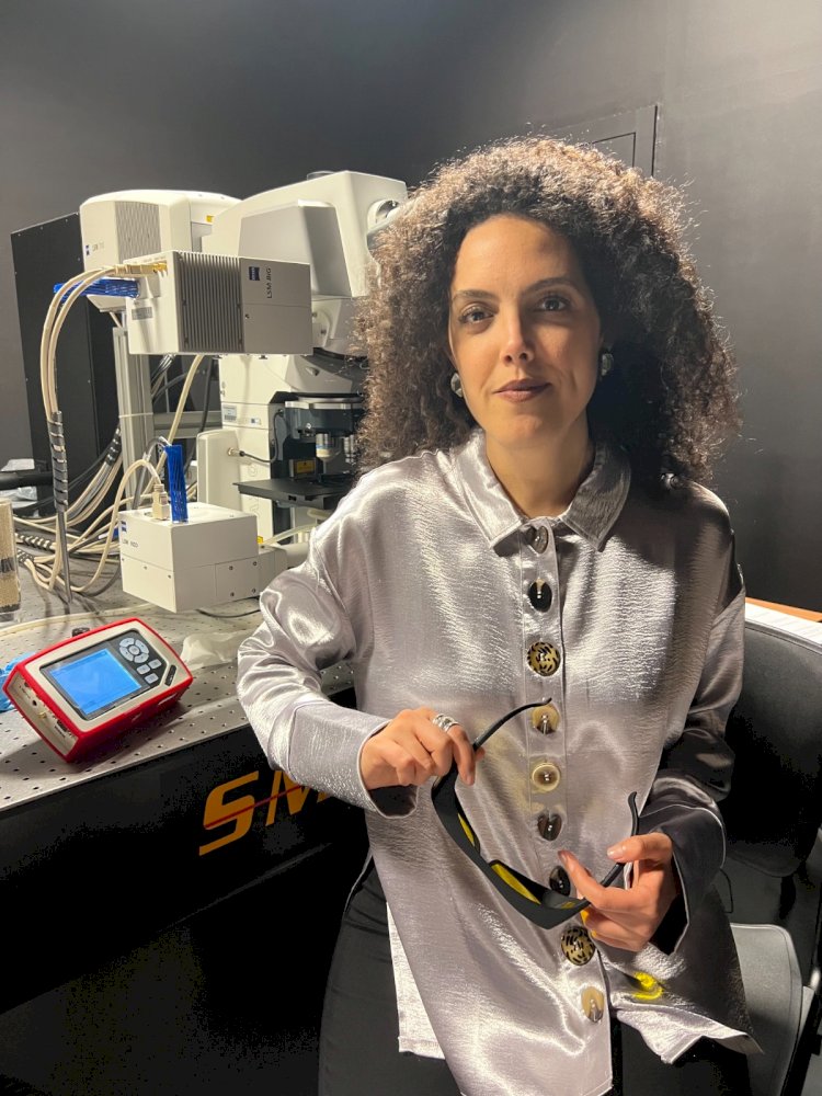 Financiamento promove estudo sobre interacção dos sistemas vascular e imunológico em recém-nascidos