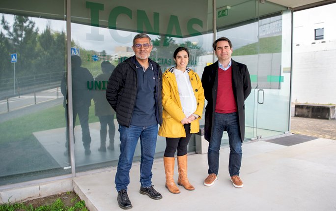 Investigadores da UC utilizam IA para estudo sobre o cérebro