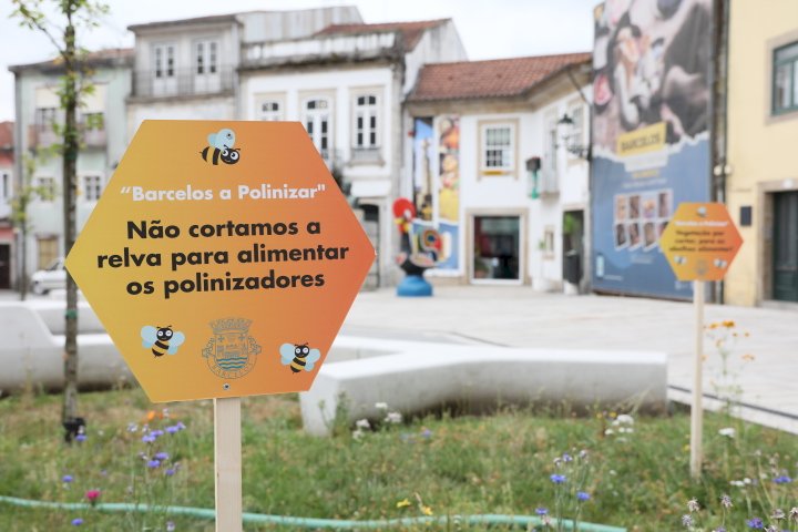 Município de Barcelos lança iniciativa “Barcelos Poliniza”
