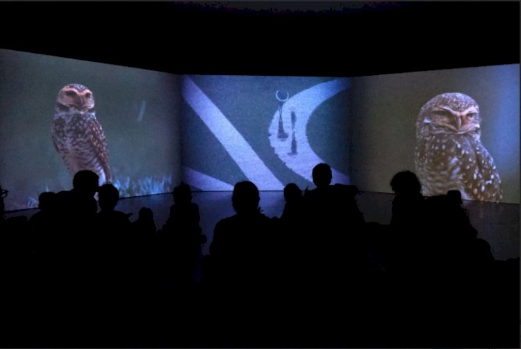 Porto Summer School on Art & Cinema
