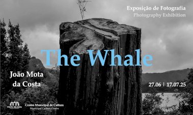 Exposição “The Whale” no Centro Municipal de Cultura