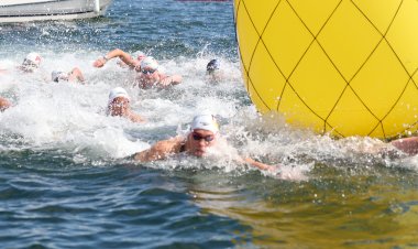 Setúbal é referência na natação em águas abertas