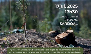 Sessão de Esclarecimento do Programa “Floresta Activa”