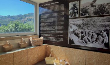 Inauguração do Centro de Cestaria em S. João de Fontoura homenageia tradição local